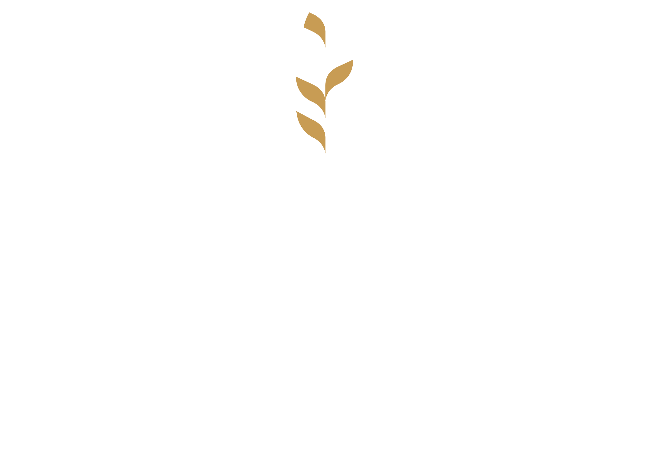 Logo Armada avocats baseline