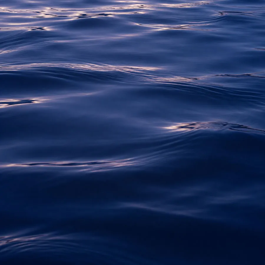mer-texture1-opt