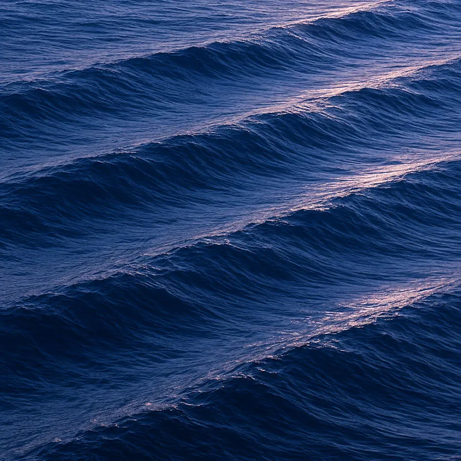 mer-texture4-opt