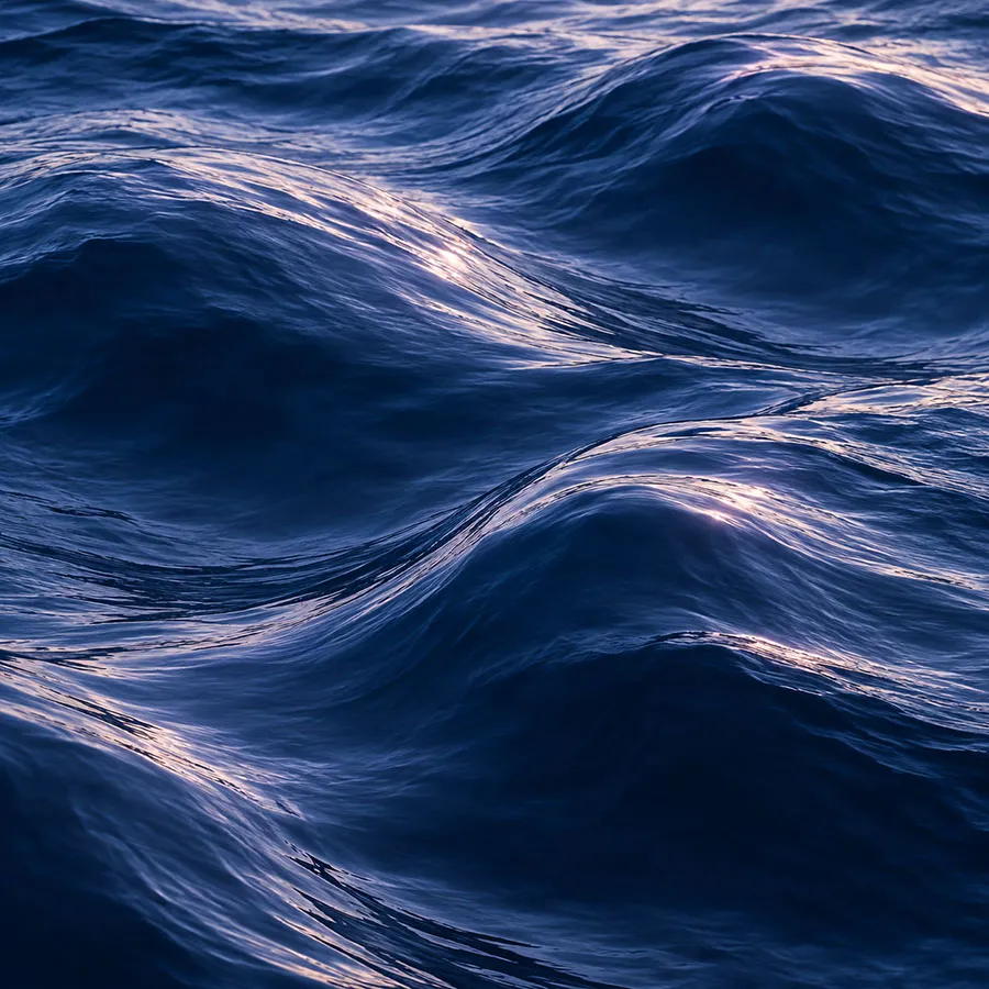 mer-texture6-opt